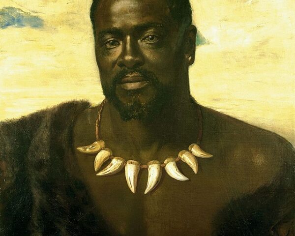 King Cetshwayo Zulu War History